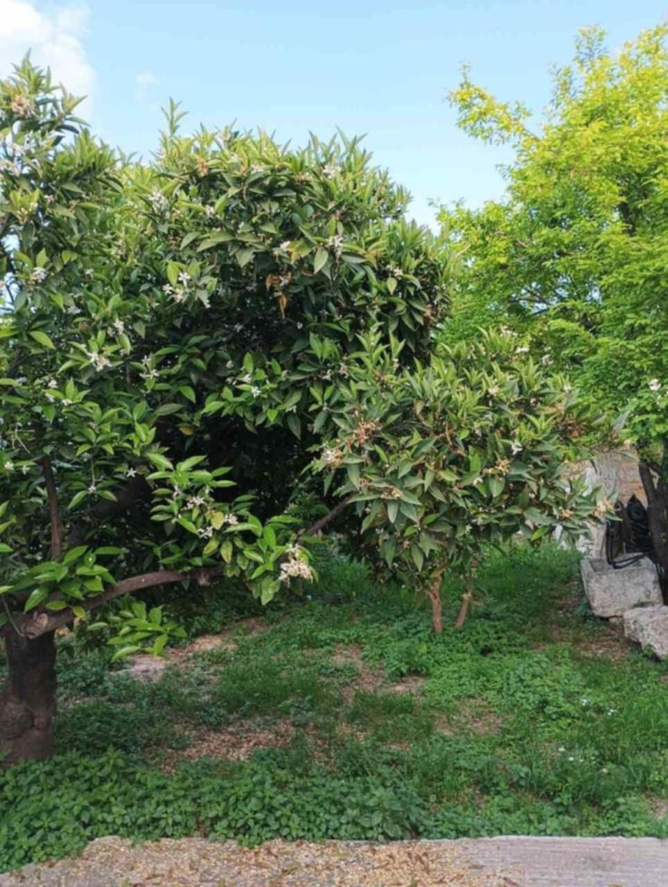 Aνεξάρτητη Παραδοσιακή Πέτρινη Κατοικία Corinth Exterior foto
